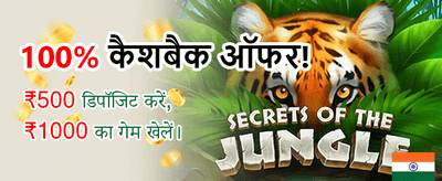 Download Playkaro APK for Free